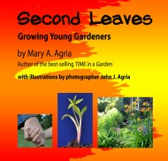 SECOND LEAVES COVER ARTFINALweb